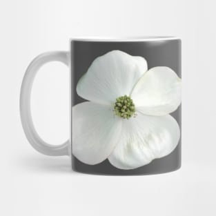 White Dogwood Flower Close-up Photo Mug